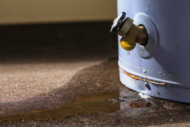 Best Flood restoration services  in Harlan, IA