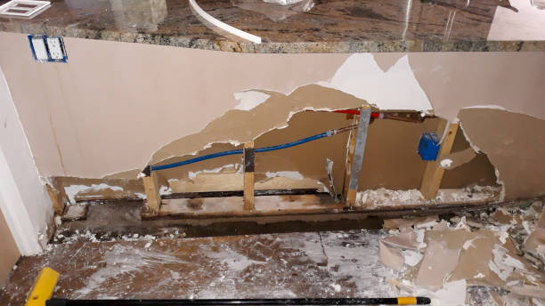 Best Carpet water damage restoration  in Harlan, IA