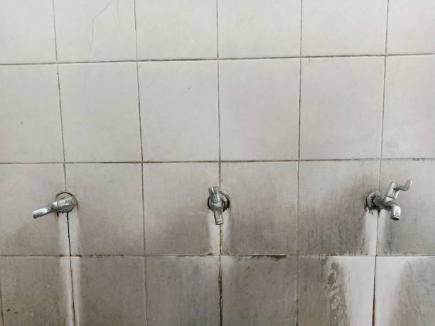 Best Water damage restoration company  in Harlan, IA