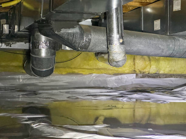 Best Professional water damage repair  in Harlan, IA